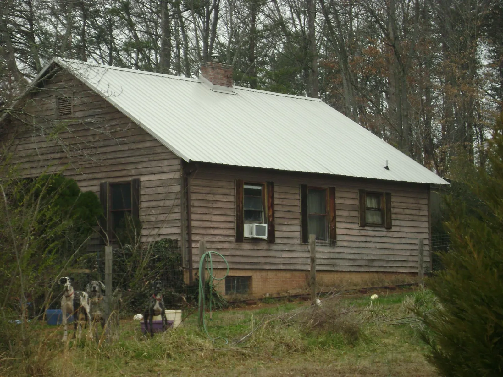 White metal roof on an old wood sided farmhouse, from a Asphalt Shingle Roof Repair job in Lowell
